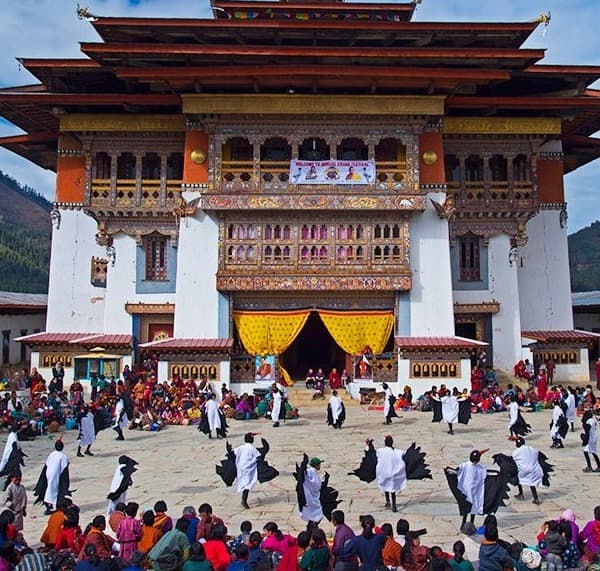 Black Necked Crane Tshechu (Festival)