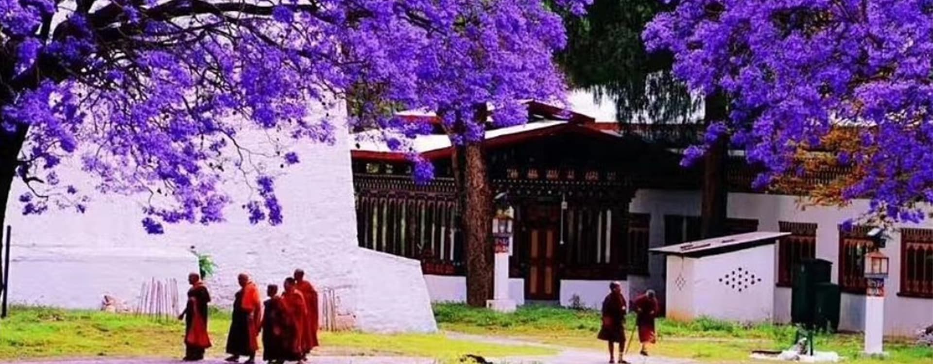 Spring in Bhutan