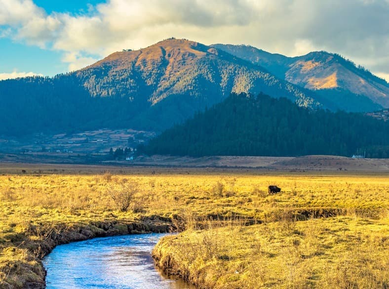 Autumn in Bhutan