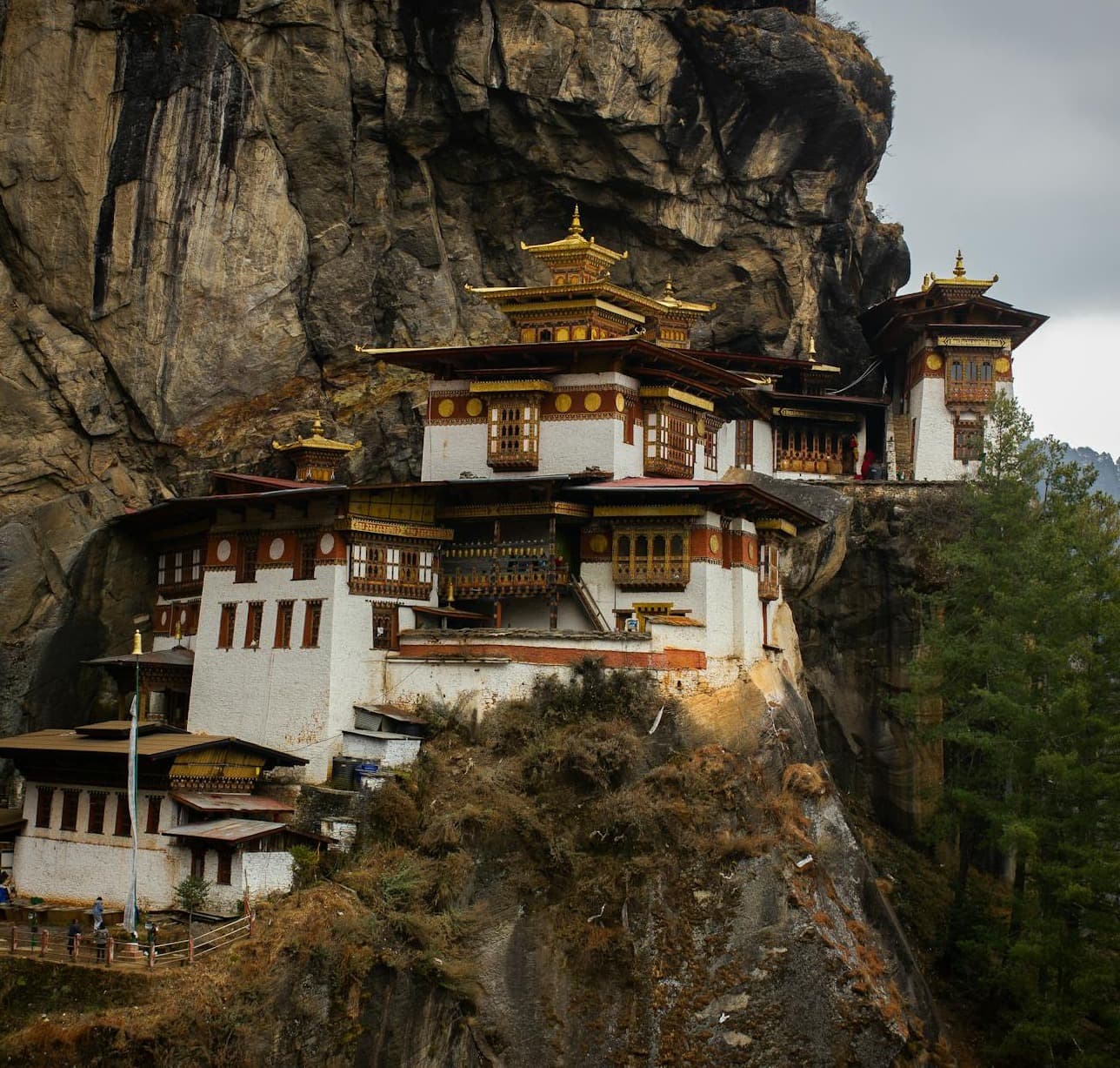 Buddhist Pilgrimage Tour