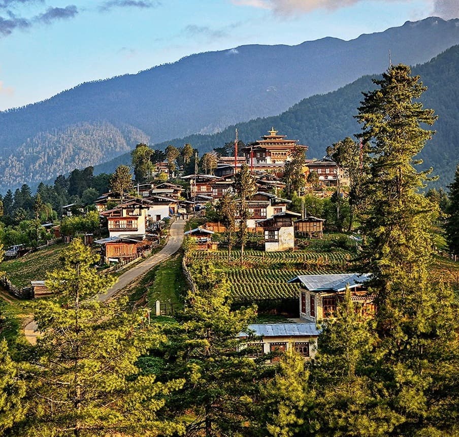 Gangtey Valley Trek