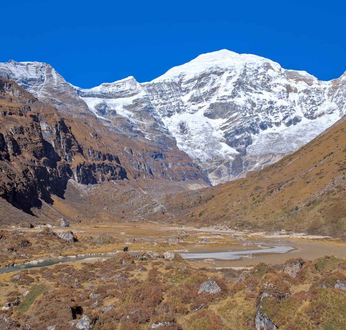 Jomolhari Trek