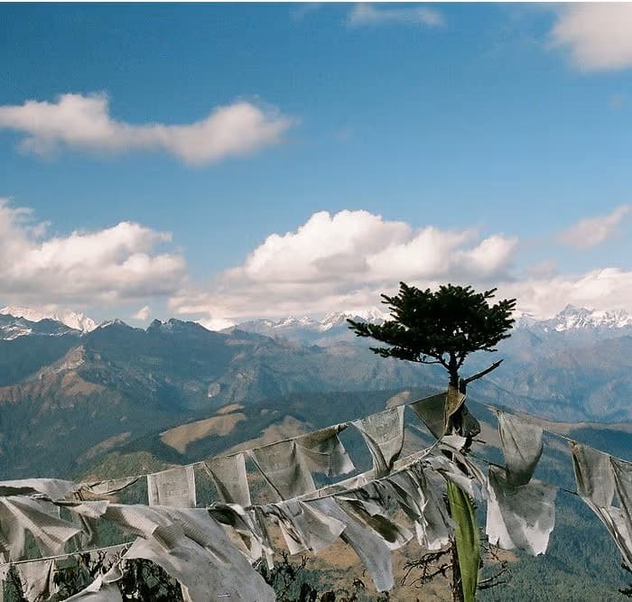 Owl Trek Bumthang