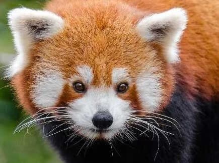 Bhutan's National Parks & Wildlife Sanctuaries